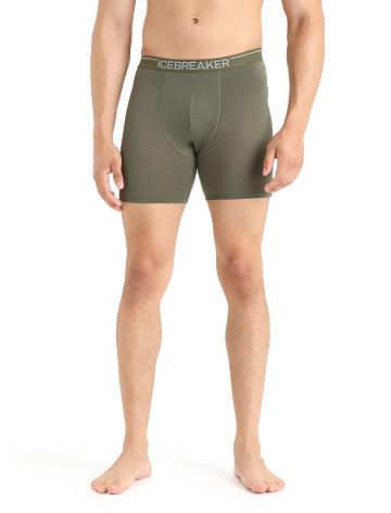 Loden Men's Icebreaker Merino Anatomica Long Boxers Underwear | USA 1284YXFU